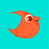 ����ʱ��appv2.1.2 ��׿��