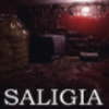 SALIGIA�����ⰲװ��