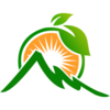 �����԰appv1.1 �ٷ����°汾