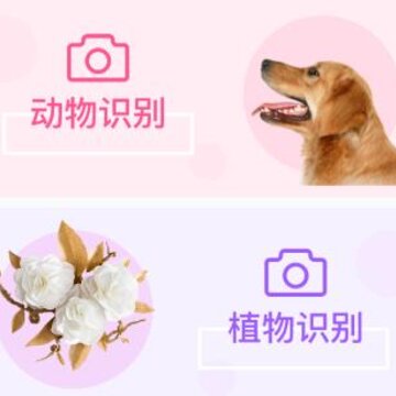 灵通植物app 灵通植物app