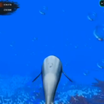 �����ɱ