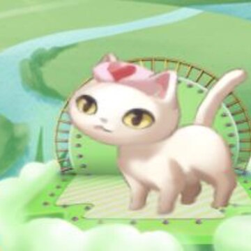 一起来合猫 一起来合猫