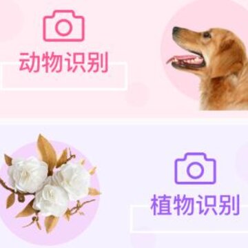 ��Ȼ����app