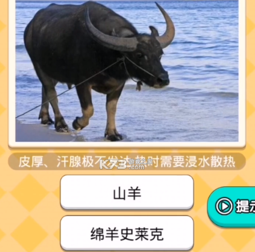 小哥哥别停红包版 小哥哥别停红包版