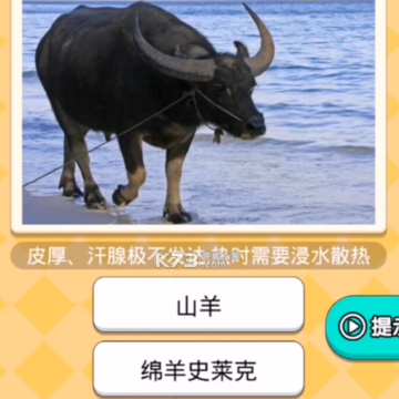 小哥哥别停红包版 小哥哥别停红包版