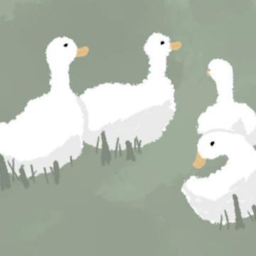image.png image.png