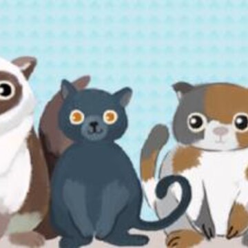 猫友舍app 猫友舍app