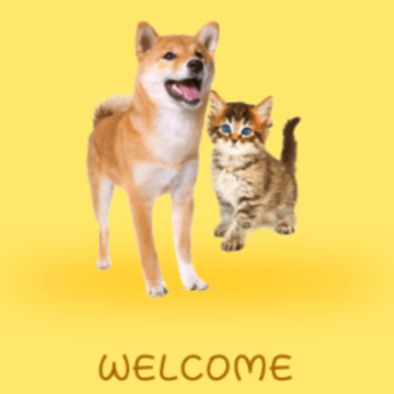 �˹�è������APP