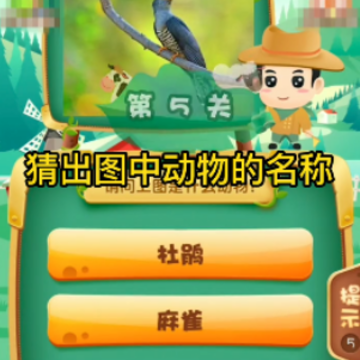动物猜猜乐 动物猜猜乐