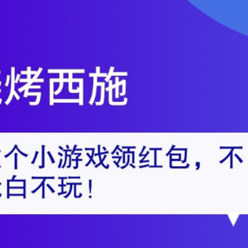 �տ���ʩ׬Ǯ��Ϸ