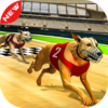 Dog Race 3d(��������3D)v1.7 ��׿��