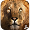 Safari Online Evolution(��������)v21.5.2 ��׿��