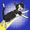 24 Cats(24ֻè����)v1.0.5 ��׿��