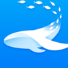 ��Ⱥ�ĵ�appv1.0.0 ���°�