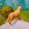 ��;�Ĺ�The Lost Dog�����ⰲװ��