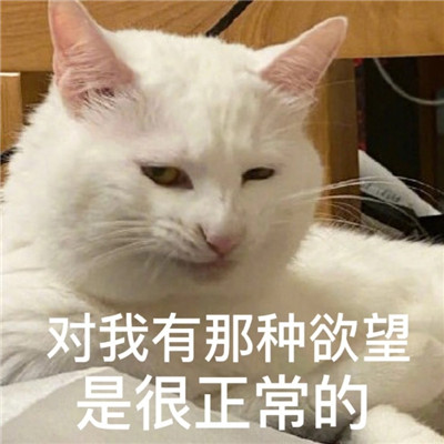 ���°�����è��������ȫ ���������������Ǻ�������