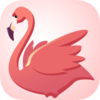 �������Ѷappv1.0.0 ���°�