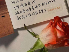 �����ֺ���Į�İ����ǳ� ����ֺ�ק�������ϼ�