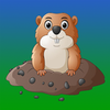 ������֪appv1.0.0 ��׿��