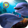 Dolphin Family(�ռ�����ģ����)v1.0 ���°�