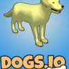 DOGS.IO�ⰲװ��ɫ��