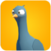 Pigeons Attack(���ӽ���)v1.1.5 ��׿��