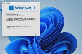 Windows11任务栏卡死怎么办 Windows11任务栏透明怎么弄