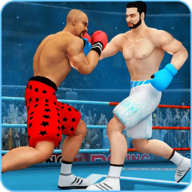 Ninja Punch Boxing Warrior(我的拳王男友免费版)v3.0.2 安卓版