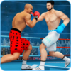 Ninja Punch Boxing Warrior(�ҵ�ȭ��������Ѱ�)v3.0.2 ��׿��