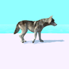 Doggy Run(��һ����������)v0.1 ��׿��
