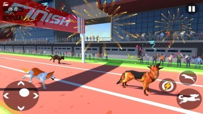 Dog Race 3d(3D)v1.7 ׿