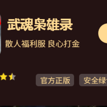 武魂枭雄录 武魂枭雄录