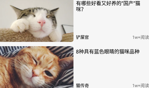 遇见我的猫app 遇见我的猫app