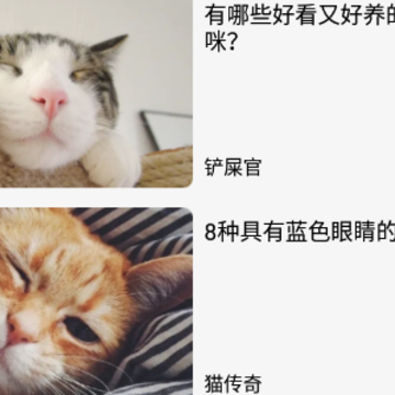 遇见我的猫app 遇见我的猫app