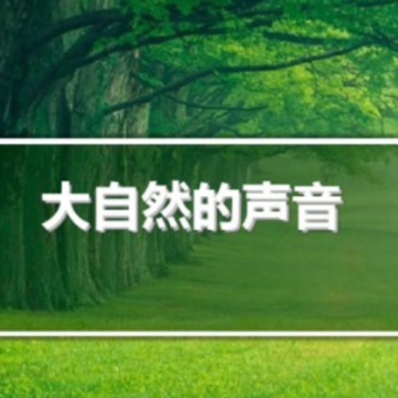 ˯�����ֲ�����App