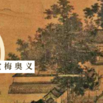 �Ŷ���ʦapp