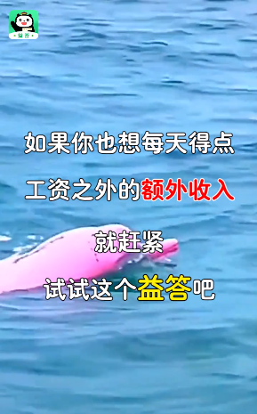 ���׬Ǯ����v1.0.1 ��������
