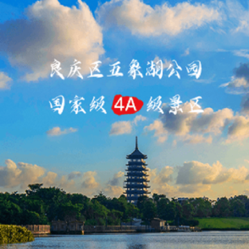 ��������app