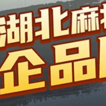 ��վ����齫