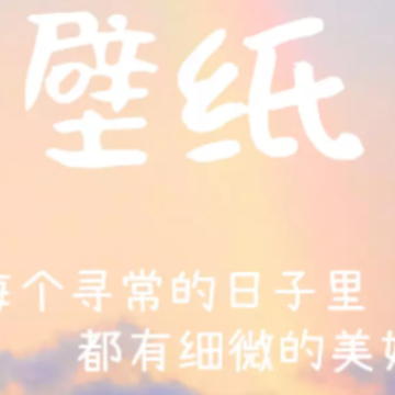 ����̬��ֽ