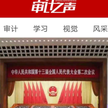 审计之声 审计之声