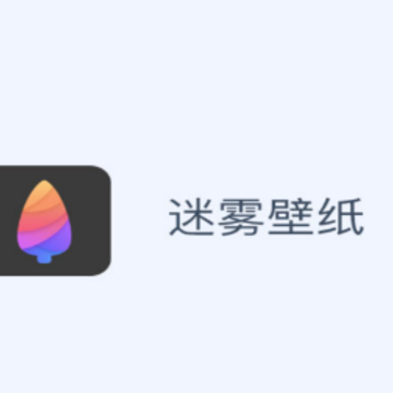 ������ֽapp