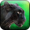 ҰWild Panther Hunter Survivalv1.1.4 ׿