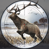 ��¹2Deer Hunting 2v1.0.1 ��׿��
