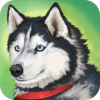 Zoom(Dog Simulator Animal Life)v1.0.0.5 ׿