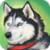 Zoom����(Dog Simulator Animal Life)v1.0.0.5 ��׿��