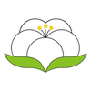 ɴ����appv1.0.0 ��׿��