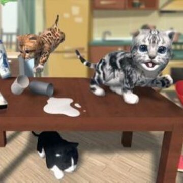 终极猫冒险Ultimate Cat Adventures 终极猫冒险Ultimate Cat Adventures