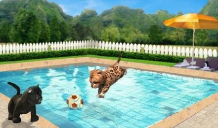 �ռ�èð��Ultimate Cat Adventuresv1.2 ��׿��