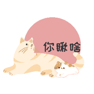 猫咪日记appv1.0 安卓版